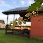 Letniskowe U Marty * Leba