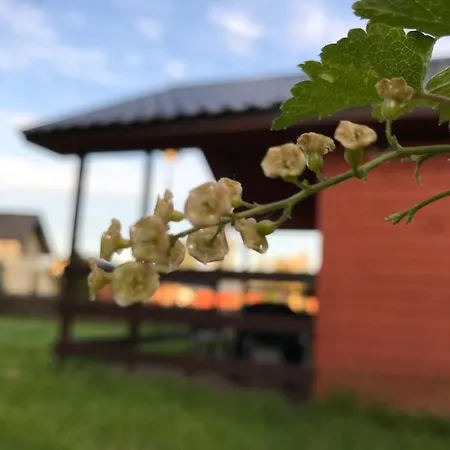 Letniskowe U Marty * Leba