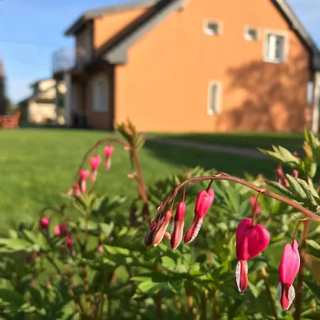 Letniskowe U Marty * ウェバ