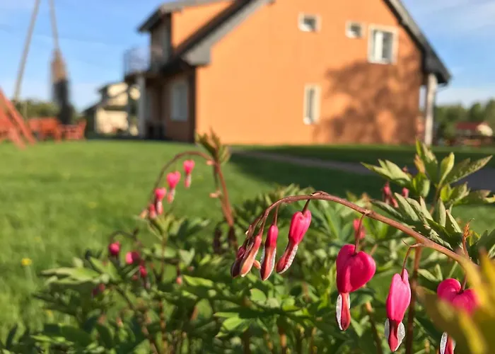 Letniskowe U Marty * ウェバ