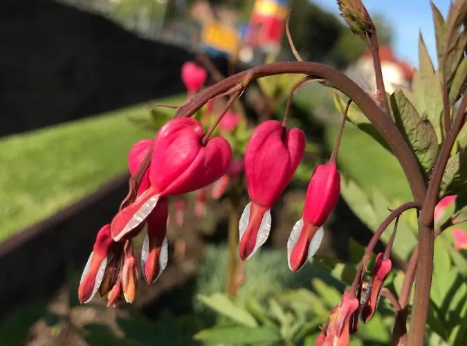 Chata Letniskowe U Marty Leba