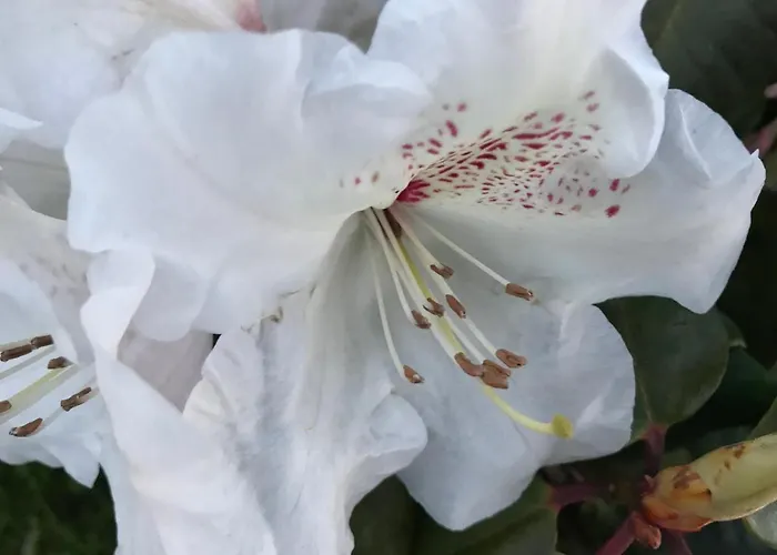 Chata Letniskowe U Marty *