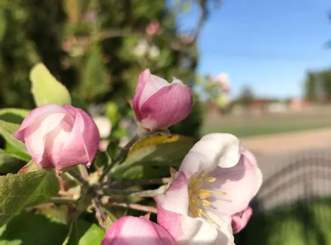 Letniskowe U Marty Chata *